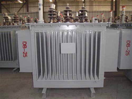 铜陵S13-100KVA/10KV/0.4KV油浸式变压器
